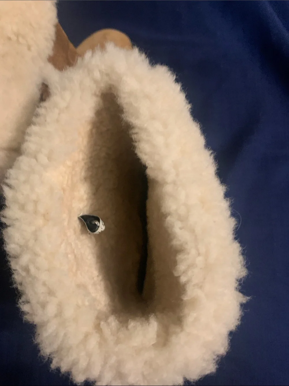 UGG soft chestnut